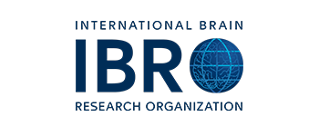 IBRO